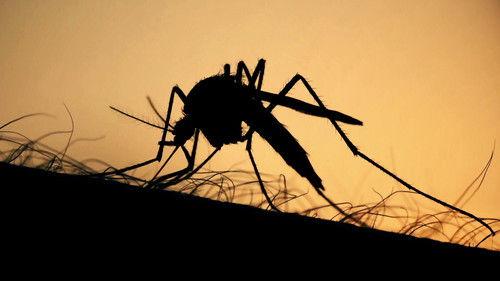 What's Next? The Future with Bill Gates Season 1 Episode 5 - Can We Outsmart Disease?