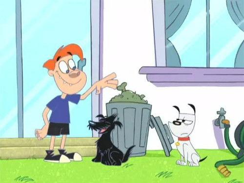 Poochini Season 1 Episode 4 - Piranha / League of Dogs / Hosed