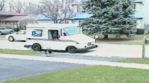 Funniest Pets & People Season 2 Episode 3 - Around and Around We Go