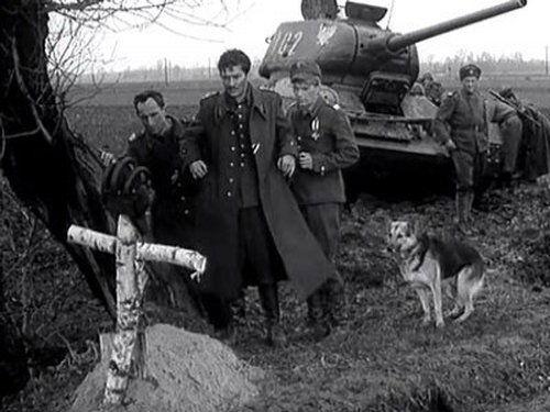 Four Tank-Men and a Dog Season 1 Episode 7 - Rozstajne drogi