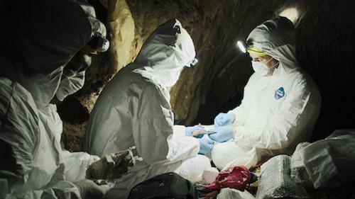 Pandemic: How to Prevent an Outbreak Season 1 Episode 3 - Seek, Don't Hide