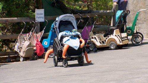 Pixar in Real Life Season 1 Episode 2 - Finding Dory: Aquarium Escape