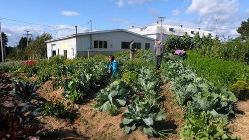 De par chez nous Season 4 Episode 10 - Episode 10