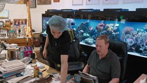 The Gherkin King Season 3 Episode 4 - Episode 4