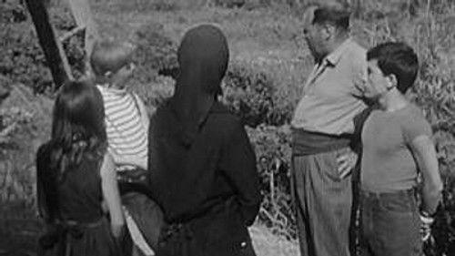 Poly Season 3 Episode 4 - Episode 4