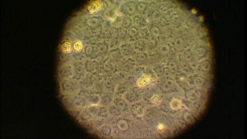 Argos TV - Medialogic Season 2 Episode 3 - Episode 3