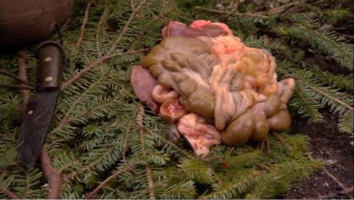 Dual Survival Season 1 Episode 1 - Shipwrecked