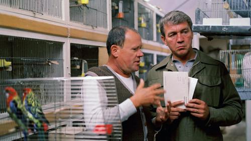 Malý pitaval z velkého města Season 2 Episode 3 - Episode 3