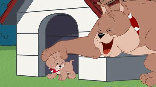 The Tom and Jerry Show Season 2 Episode 4 - Slinging in the Rain