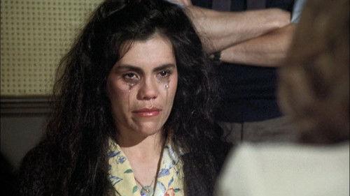 Hill Street Blues Season 2 Episode 18 - Invasion of the Third World Body Snatchers