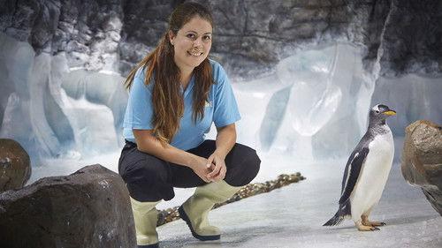 Penguins on a Plane: Great Animal Moves Season 1 Episode 1 - Episode 1