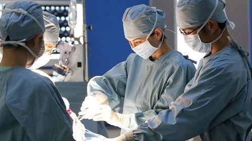 Doctor-X: Surgeon Michiko Daimon Season 6 Episode 4 - Episode 4