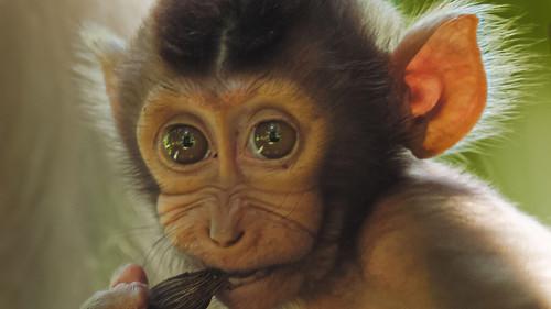 undefined Season 1 Episode 2 - The New Wild