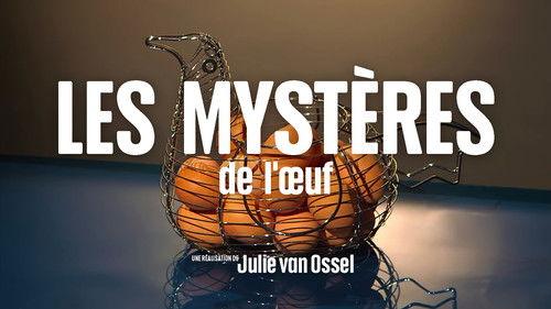 Le Doc du dimanche Season 9 Episode 4 - Episode 4