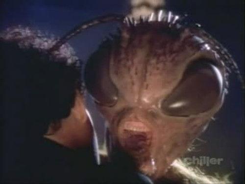 Monsters Season 1 Episode 3 - New York Honey