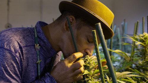 undefined Season 1 Episode 5 - Cannabis