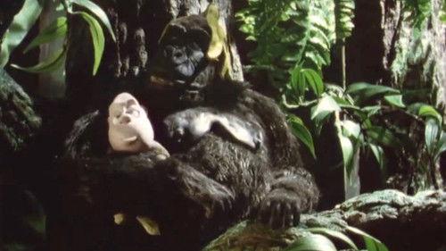 Gogs Season 2 Episode 6 - Apes And Men