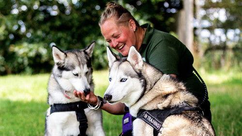 The Dog House Season 2 Episode 2 - Episode 2