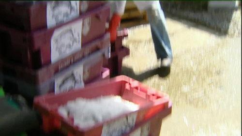 Aifric Season 2 Episode 5 - Episode 5