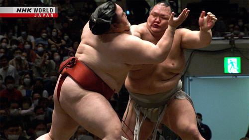 GRAND SUMO Highlights Season 13 Episode 7 - Day 7