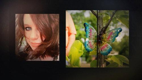 Dateline Season 33 Episode 1 - The Butterfly