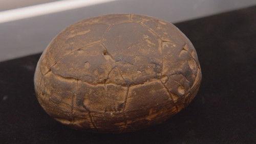 Pawn Stars Season 23 Episode 3 - Pawn Barons