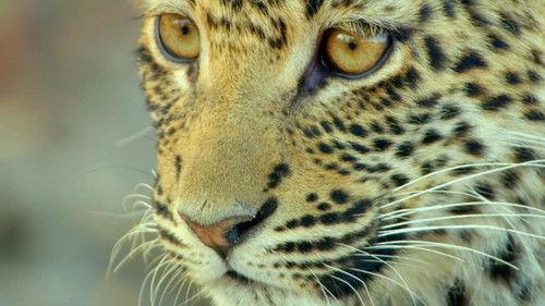 Savage Kingdom Season 4 Episode 6 - The Crown