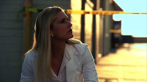 CSI: Miami Season 3 Episode 8 - Speed Kills