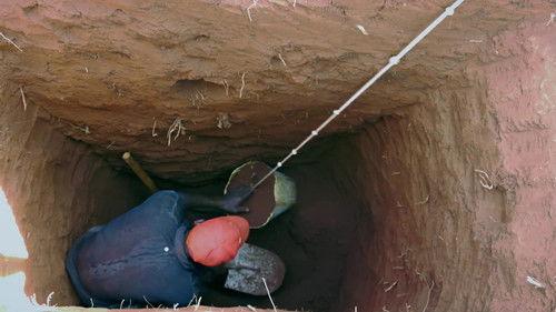 American Pickers Season 20 Episode 14 - Mega Pick Madness