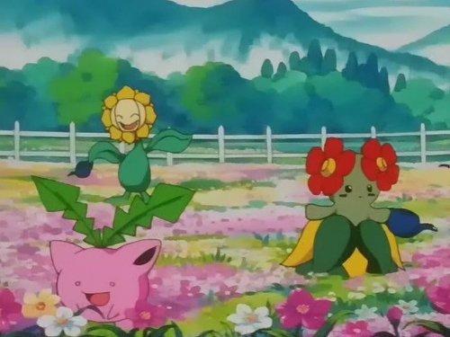 Pokémon Season 4 Episode 21 - The Grass Route
