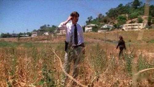 Vanished Season 1 Episode 5 - The Feed