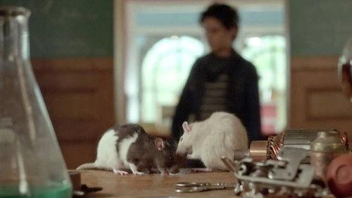 Valentins Season 1 Episode 17 - Episode 17