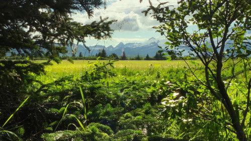 Our Universe Season 1 Episode 3 - Turning Seasons