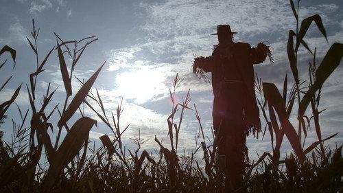 undefined Season 2 Episode 11 - Scarecrow