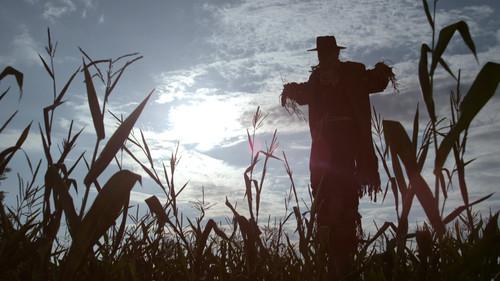 undefined Season 2 Episode 11 - Scarecrow