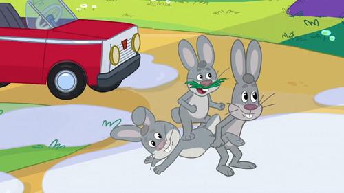 Mr. Theo, Cat & Dog Season 6 Episode 18 - Episode 18