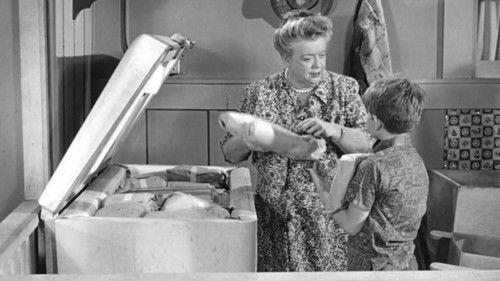 undefined Season 4 Episode 24 - Bargain Day