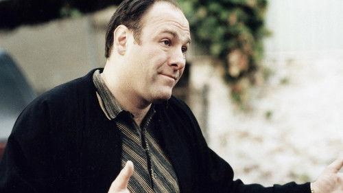 The Sopranos Season 1 Episode 13 - I Dream of Jeannie Cusamano