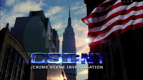 CSI: NY Season 7 Episode 3 - Damned if You Do