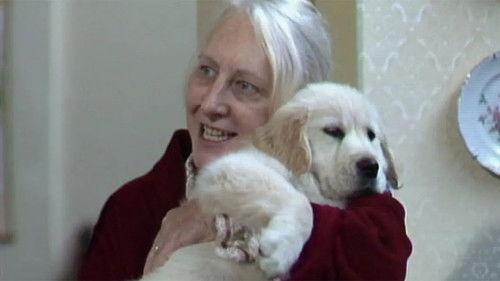 Mother and Son Season 4 Episode 5 - The Dog