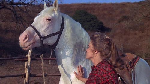 The Virginian Season 5 Episode 11 - Beloved Outlaw