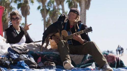 The Street Vet Season 1 Episode 10 - Lawrence's Dogs