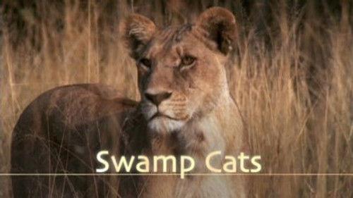 Natural World Season 22 Episode 9 - Swamp Cats