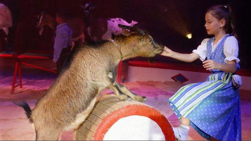 Mona mittendrin Season 8 Episode 3 - Episode 3