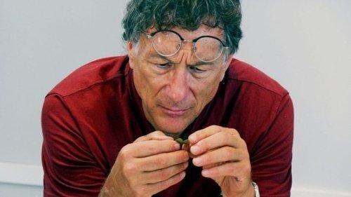 The Curse of Oak Island Season 8 Episode 13 - The Fellowship Of The Ringbolt