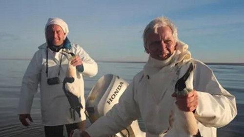 Kill & Eat Season 5 Episode 1 - En edderfugl ved Vadehavet