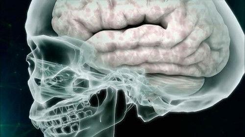 Big History Season 1 Episode 7 - Brain Boost