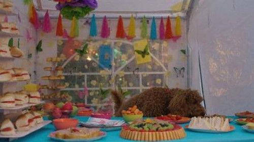 Waffle the Wonder Dog Season 2 Episode 14 - Waffle's Sort of Birthday