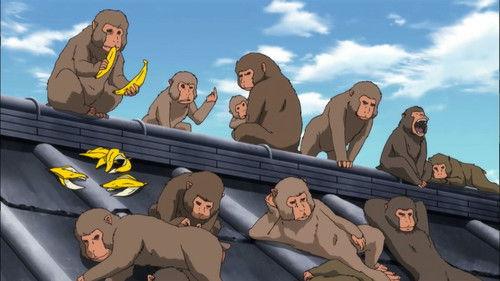 undefined Season 5 Episode 21 - The Name Reveals the Person