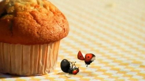 Minuscule: The Private Life of Insects Season 1 Episode 8 - The Last Supper